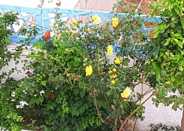 Apartman Giorgia Lodging Párosz